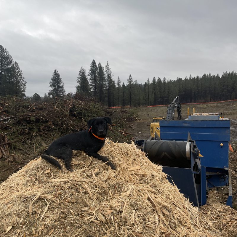 Photo Jan 31 2025, 3 52 24 PM